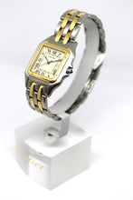 Load image into Gallery viewer, Panthere