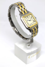 Load image into Gallery viewer, Panthere