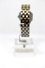 Load image into Gallery viewer, Panthere