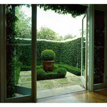 Load image into Gallery viewer, 3.5 ft. H x 3.5 ft. W Artificial Plants Milan Hedge Polyethylene Fence Panel (Set of 2)