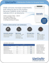 Load image into Gallery viewer, Wellis Air Disinfection Purifier