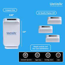 Load image into Gallery viewer, Wellis Air Disinfection Purifier
