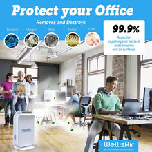 Load image into Gallery viewer, Wellis Air Disinfection Purifier