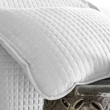 Load image into Gallery viewer, Barron Microfiber Reversible Quilt Set