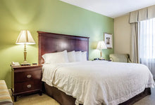 Load image into Gallery viewer, 1 King Bed Nonsmoking