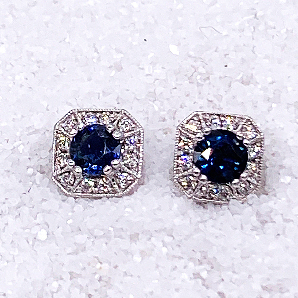 75-96112 Earrings
