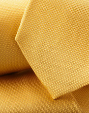 Load image into Gallery viewer, Stain Resistant Silk Tie - Sunflower
