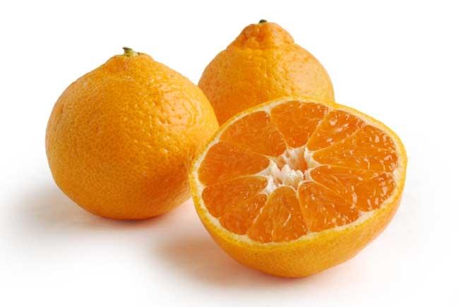 Satsuma Tangerine