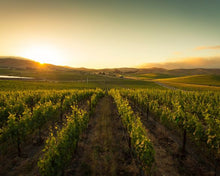 Load image into Gallery viewer, Grgich Hills Napa Valley Selection
