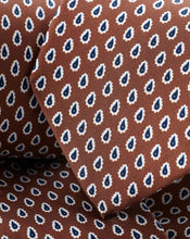 Load image into Gallery viewer, Paisley Print Silk Tie - Rust
