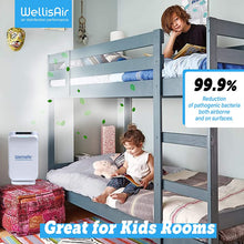 Load image into Gallery viewer, Wellis Air Disinfection Purifier
