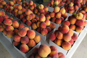 Extra Large Yellow Peaches or Yellow Nectarines