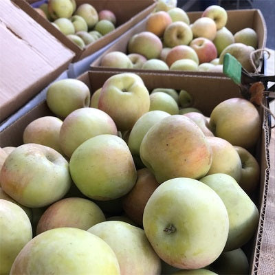 Fuji Apples, Or Sweet Potatoes