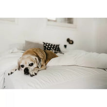 Load image into Gallery viewer, Ensley Hypoallergenic and Waterproof Fitted Mattress Protector
