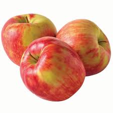 Honeycrisp Apple