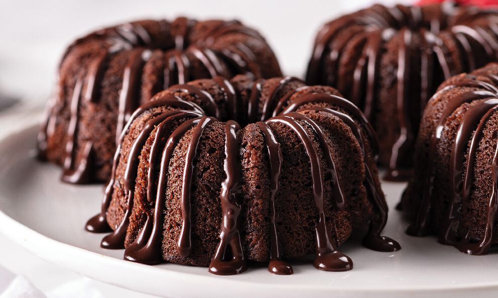 Double Chocolate Bundt Cakes