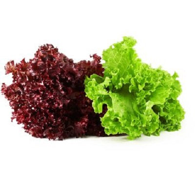 Red/Green Leaf Lettuce