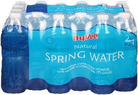 Springfield 24-Pack Drinking Water