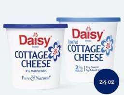 Daisy Cottage Cheese