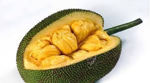 Jack Fruit