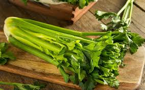 Celery