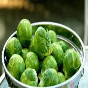 Brussel Sprouts