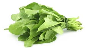 Fresh Bunch Spinach