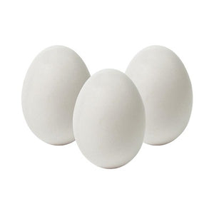 Medium White 20 Count Eggs