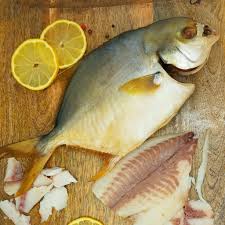 Golden Pompano