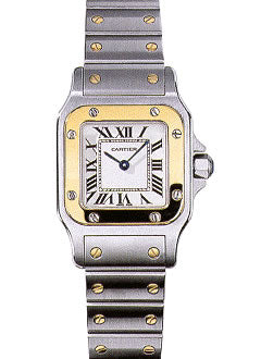 Cartier W20012C4 Ladies Santos Two-Tone 18kt Yellow Gold Steel