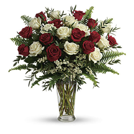 12 Red & 12 White Roses